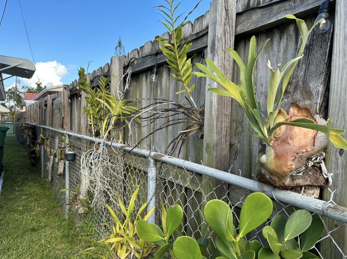 Miami'S Cozy Tropical Getaway别墅 外观 照片